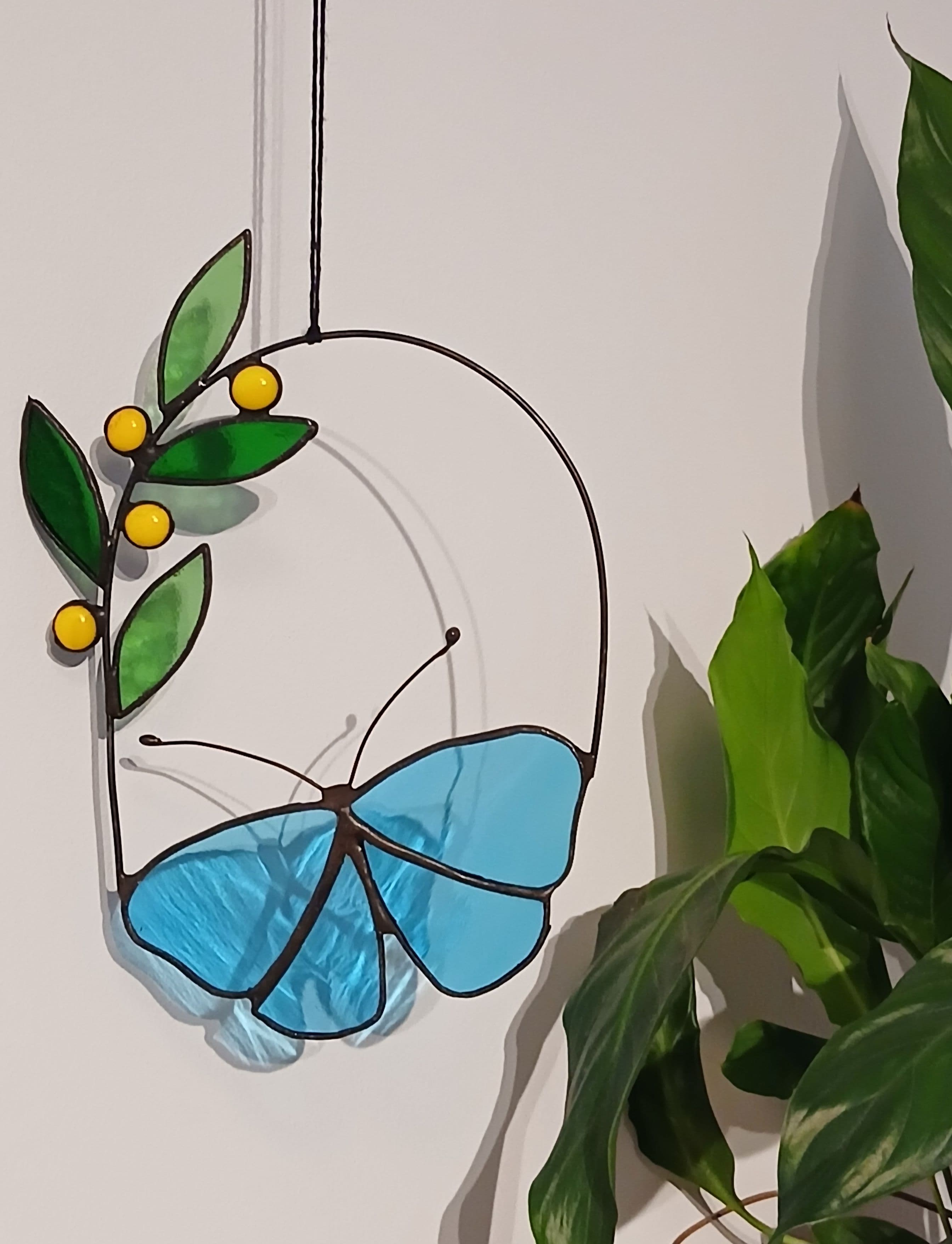 zonnevanger blauwe vlinder